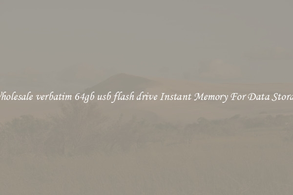 Wholesale verbatim 64gb usb flash drive Instant Memory For Data Storage