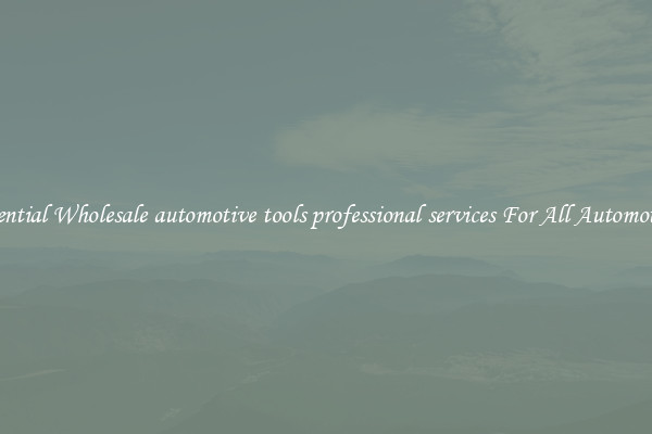 Essential Wholesale automotive tools professional services For All Automotives