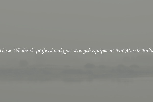 Purchase Wholesale professional gym strength equipment For Muscle Building.