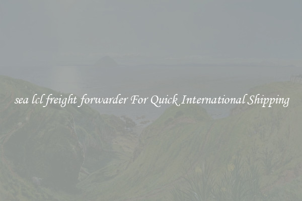 sea lcl freight forwarder For Quick International Shipping