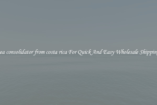sea consolidator from costa rica For Quick And Easy Wholesale Shipping