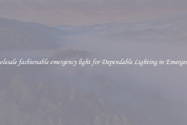 Wholesale fashionable emergency light for Dependable Lighting in Emergencies