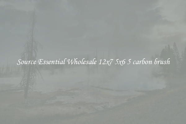 Source Essential Wholesale 12x7 5x6 5 carbon brush