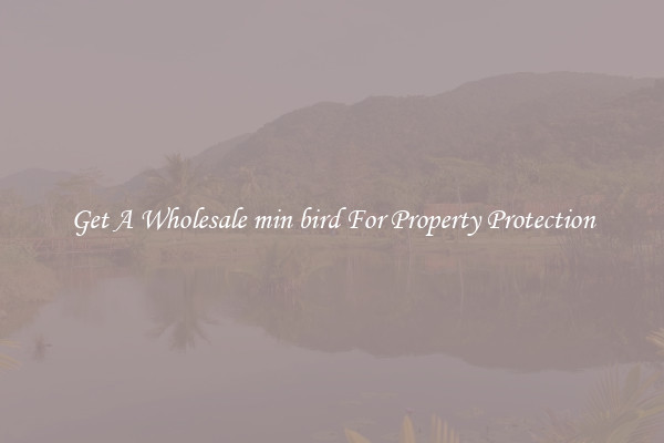 Get A Wholesale min bird For Property Protection