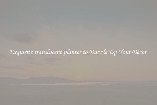Exquisite translucent planter to Dazzle Up Your Décor 
