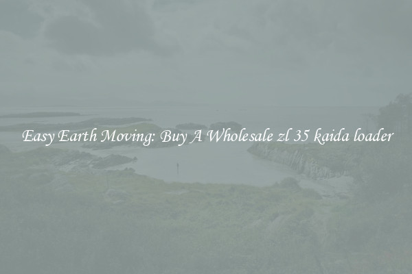 Easy Earth Moving: Buy A Wholesale zl 35 kaida loader