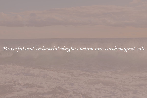 Powerful and Industrial ningbo custom rare earth magnet sale