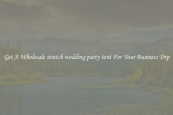 Get A Wholesale stretch wedding party tent For Your Business Trip