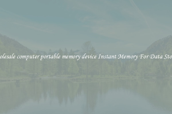 Wholesale computer portable memory device Instant Memory For Data Storage