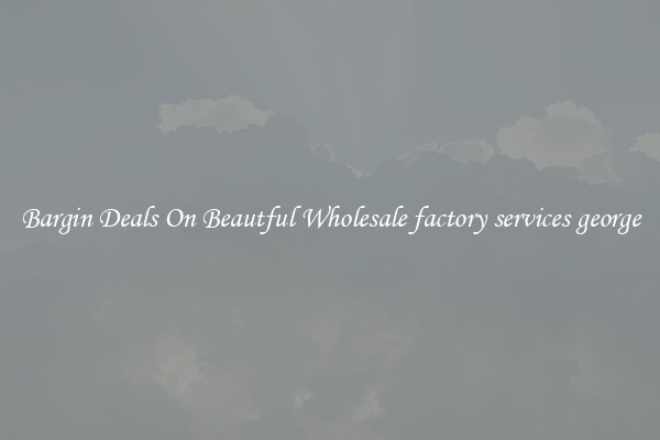 Bargin Deals On Beautful Wholesale factory services george