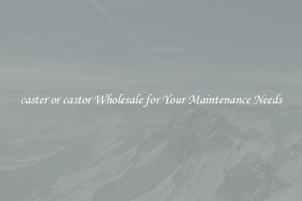 caster or castor Wholesale for Your Maintenance Needs