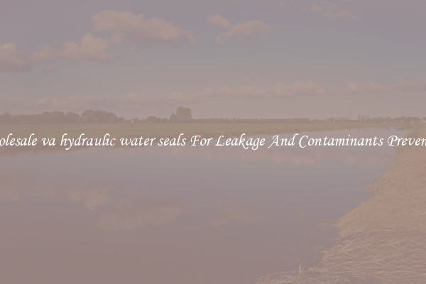 Wholesale va hydraulic water seals For Leakage And Contaminants Prevention