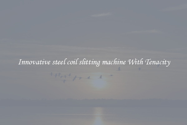 Innovative steel coil slitting machine With Tenacity
