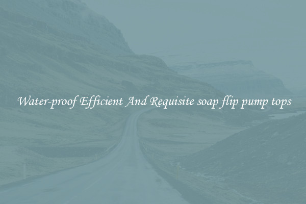 Water-proof Efficient And Requisite soap flip pump tops