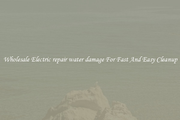 Wholesale Electric repair water damage For Fast And Easy Cleanup