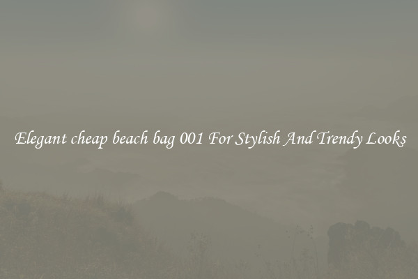 Elegant cheap beach bag 001 For Stylish And Trendy Looks