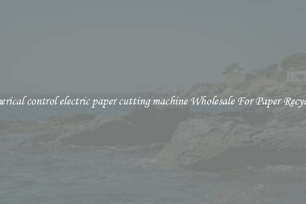 numerical control electric paper cutting machine Wholesale For Paper Recycling