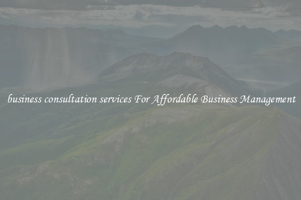 business consultation services For Affordable Business Management