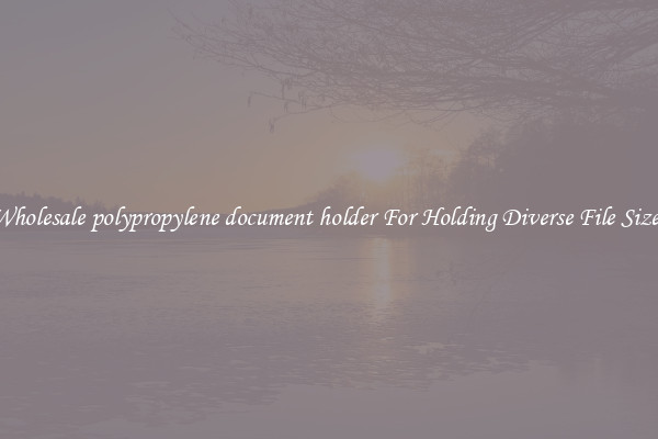 Wholesale polypropylene document holder For Holding Diverse File Sizes