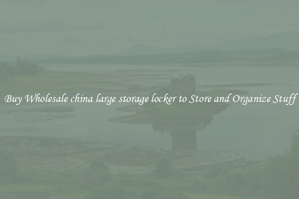 Buy Wholesale china large storage locker to Store and Organize Stuff